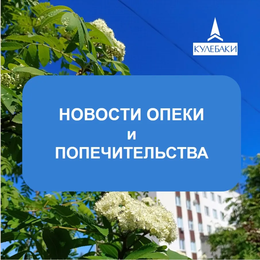 Региональный фестиваль приемных семей пройдет с 8 по 10 августа 2025 г. на территории города Ветлуга